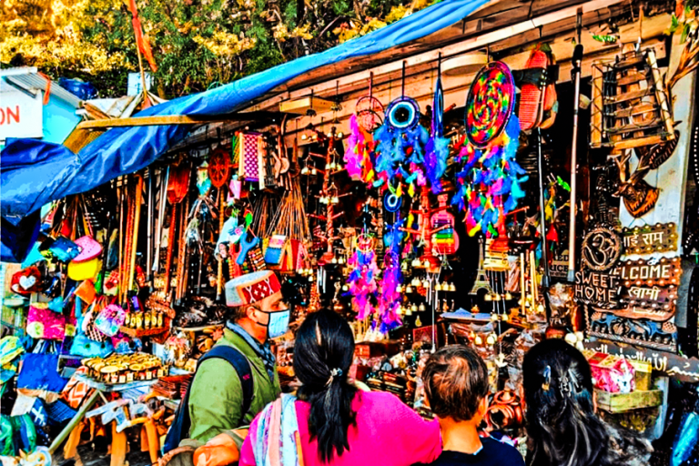 shopping-at-Lakkar-Bazaar